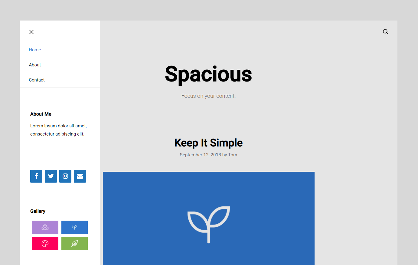 Example 5 — logo, search icon and off-canvas toggle; panel with about text, social icons and gallery